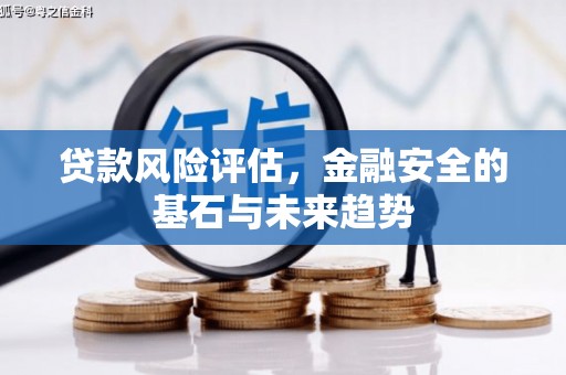 嘉黎贷款风险评估，金融安全的基石与未来趋势