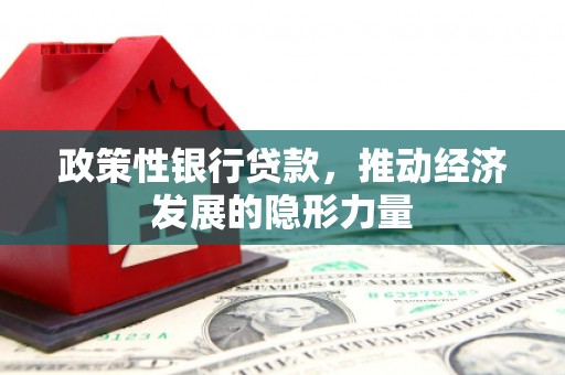 嘉黎政策性银行贷款，推动经济发展的隐形力量