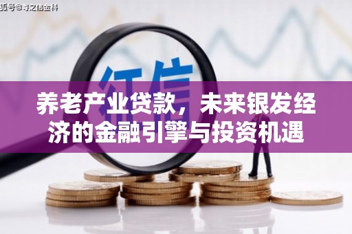 嘉黎养老产业贷款，未来银发经济的金融引擎与投资机遇