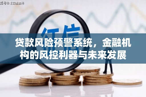 嘉黎贷款风险预警系统，金融机构的风控利器与未来发展