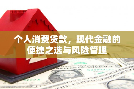 嘉黎个人消费贷款，现代金融的便捷之选与风险管理