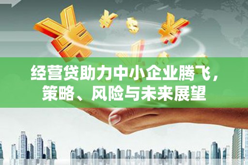 嘉黎经营贷助力中小企业腾飞，策略、风险与未来展望