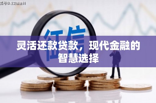嘉黎灵活还款贷款，现代金融的智慧选择