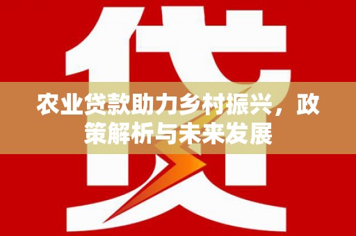 嘉黎农业贷款助力乡村振兴，政策解析与未来发展