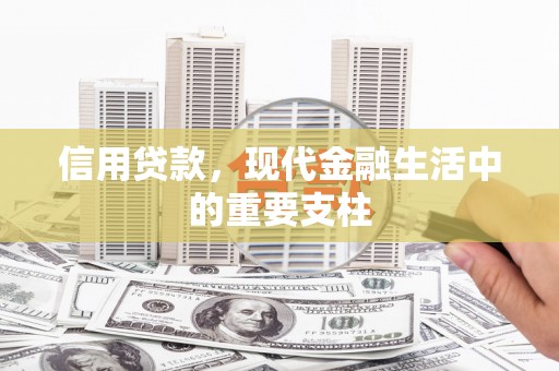 嘉黎信用贷款，现代金融生活中的重要支柱