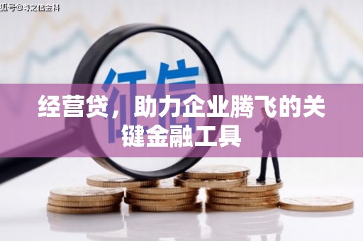 嘉黎经营贷，助力企业腾飞的关键金融工具