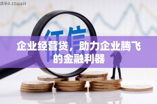 嘉黎企业经营贷，助力企业腾飞的金融利器