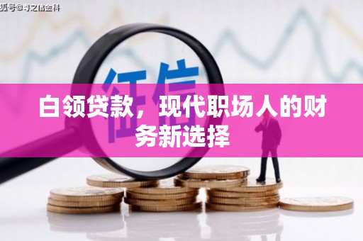 嘉黎白领贷款，现代职场人的财务新选择