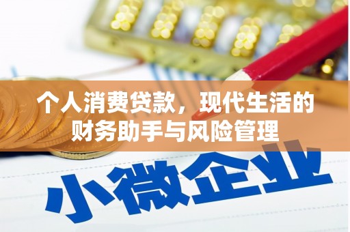 嘉黎个人消费贷款，现代生活的财务助手与风险管理