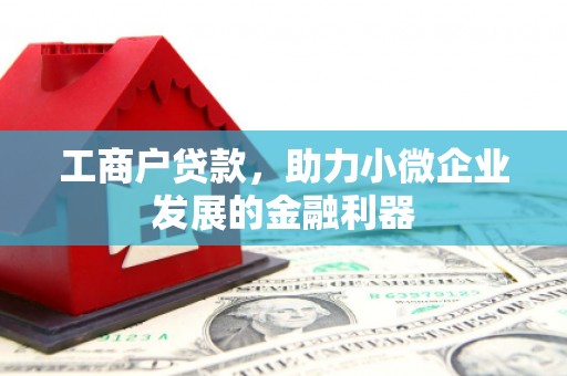 嘉黎工商户贷款，助力小微企业发展的金融利器