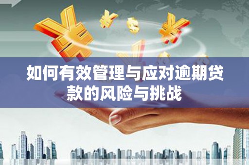 嘉黎如何有效管理与应对逾期贷款的风险与挑战