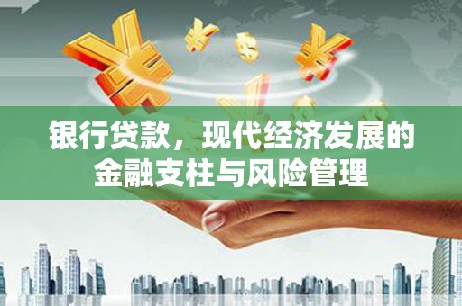 嘉黎银行贷款，现代经济发展的金融支柱与风险管理