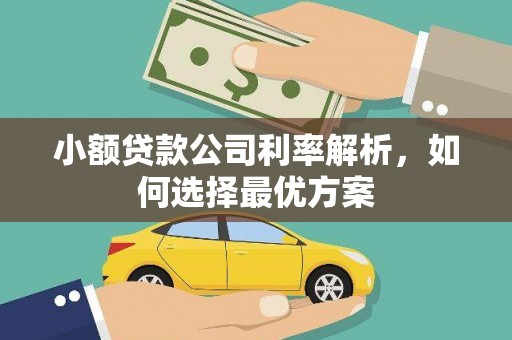 嘉黎小额贷款公司利率解析，如何选择最优方案