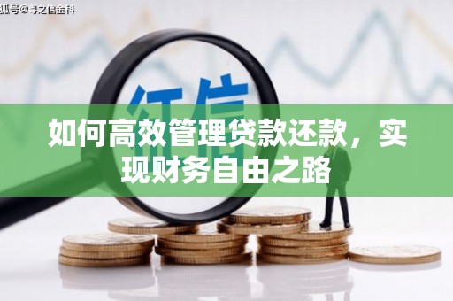 嘉黎如何高效管理贷款还款，实现财务自由之路