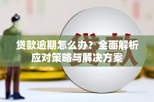 嘉黎贷款逾期怎么办？全面解析应对策略与解决方案