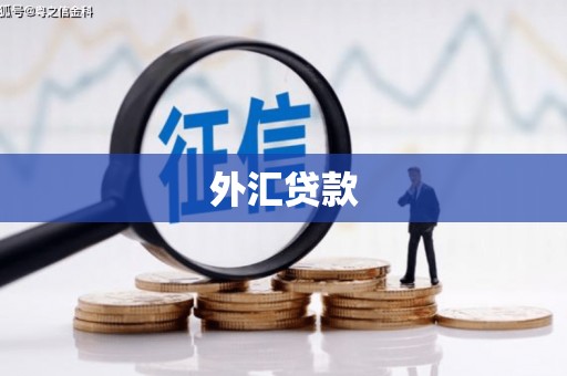 嘉黎外汇贷款
