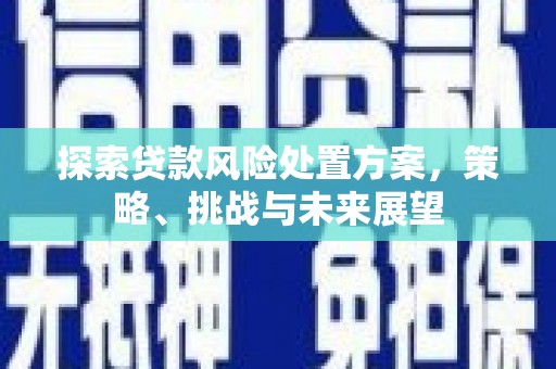 嘉黎探索贷款风险处置方案，策略、挑战与未来展望