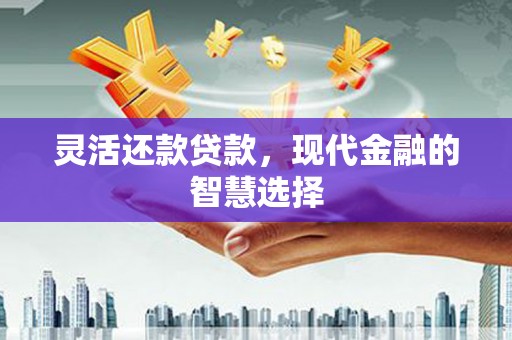 嘉黎灵活还款贷款，现代金融的智慧选择