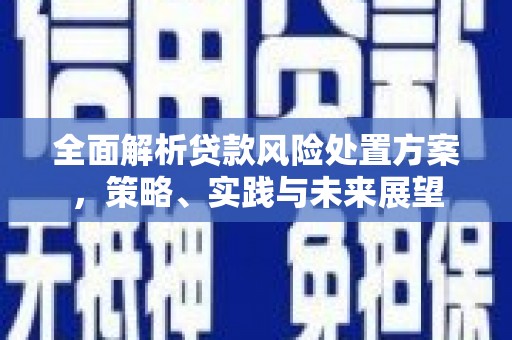 嘉黎全面解析贷款风险处置方案，策略、实践与未来展望