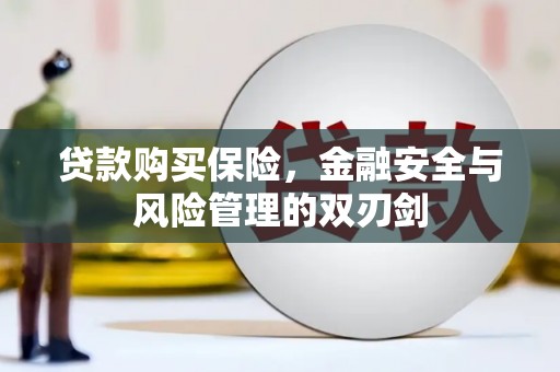 嘉黎贷款购买保险，金融安全与风险管理的双刃剑
