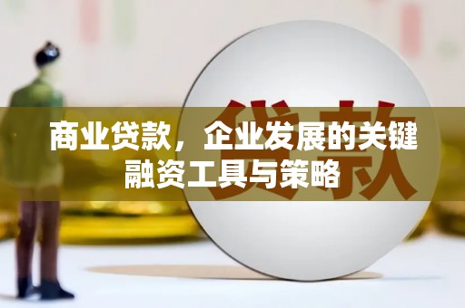 嘉黎商业贷款，企业发展的关键融资工具与策略