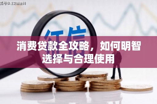 嘉黎消费贷款全攻略，如何明智选择与合理使用