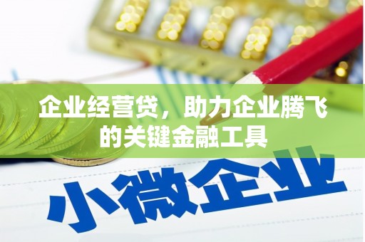 嘉黎企业经营贷，助力企业腾飞的关键金融工具