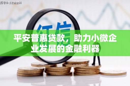 嘉黎平安普惠贷款，助力小微企业发展的金融利器