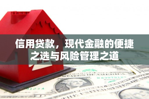 嘉黎信用贷款，现代金融的便捷之选与风险管理之道