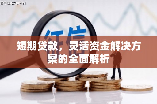 嘉黎短期贷款，灵活资金解决方案的全面解析