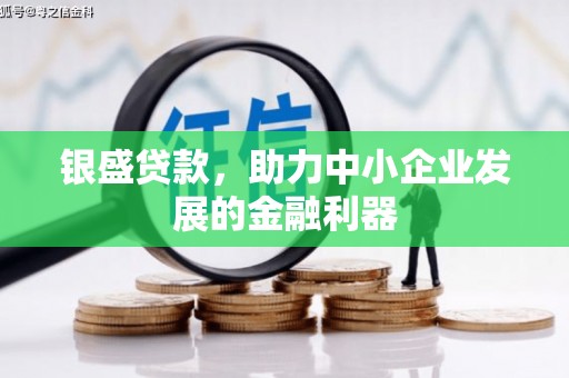嘉黎银盛贷款，助力中小企业发展的金融利器