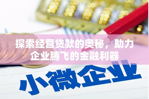 嘉黎探索经营贷款的奥秘，助力企业腾飞的金融利器