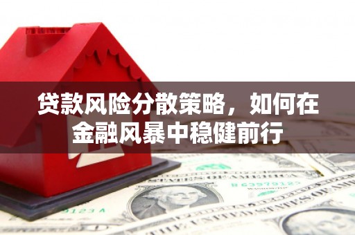 嘉黎贷款风险分散策略，如何在金融风暴中稳健前行