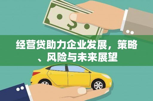 嘉黎经营贷助力企业发展，策略、风险与未来展望