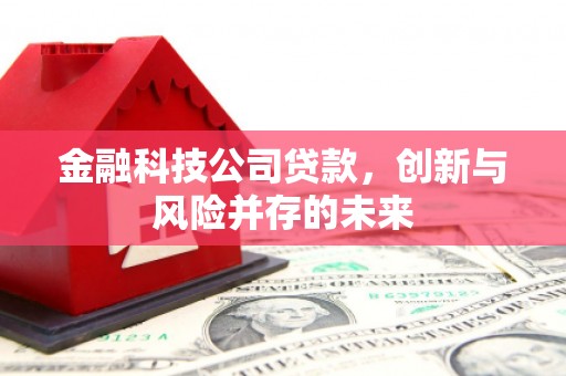 嘉黎金融科技公司贷款，创新与风险并存的未来