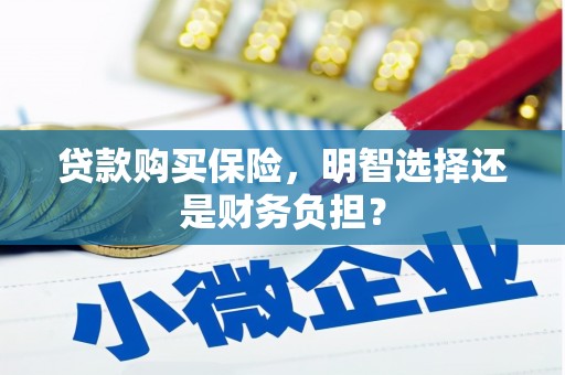 嘉黎贷款购买保险，明智选择还是财务负担？