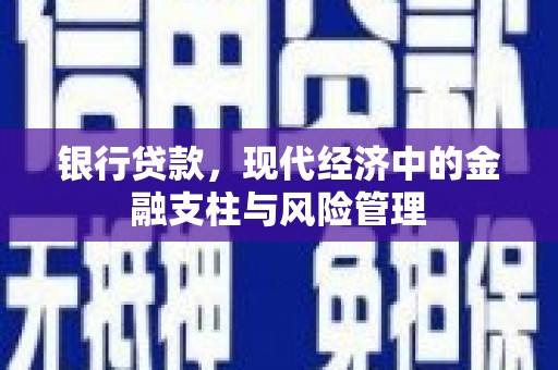 嘉黎银行贷款，现代经济中的金融支柱与风险管理