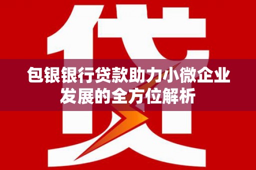 嘉黎包银银行贷款助力小微企业发展的全方位解析