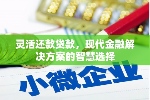 嘉黎灵活还款贷款，现代金融解决方案的智慧选择