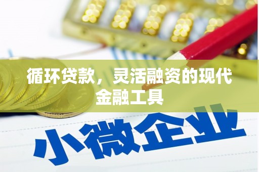 嘉黎循环贷款，灵活融资的现代金融工具