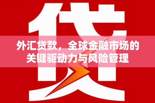 嘉黎外汇贷款，全球金融市场的关键驱动力与风险管理