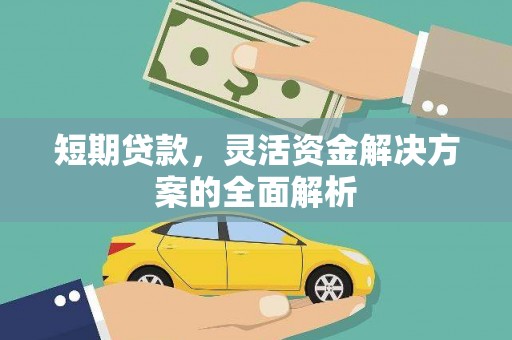 嘉黎短期贷款，灵活资金解决方案的全面解析