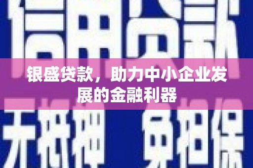 嘉黎银盛贷款，助力中小企业发展的金融利器