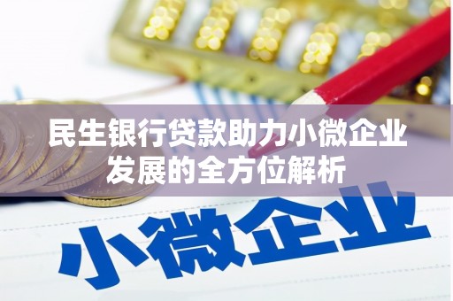 嘉黎民生银行贷款助力小微企业发展的全方位解析