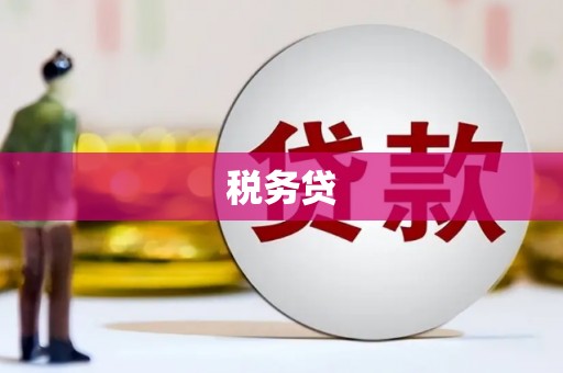 嘉黎税务贷