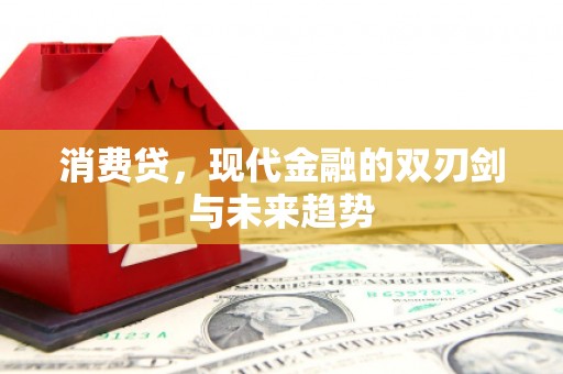 嘉黎消费贷，现代金融的双刃剑与未来趋势