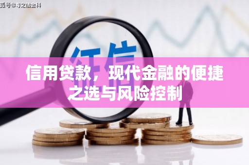 嘉黎信用贷款，现代金融的便捷之选与风险控制