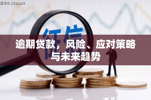 嘉黎逾期贷款，风险、应对策略与未来趋势