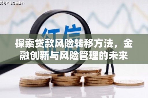 嘉黎探索贷款风险转移方法，金融创新与风险管理的未来