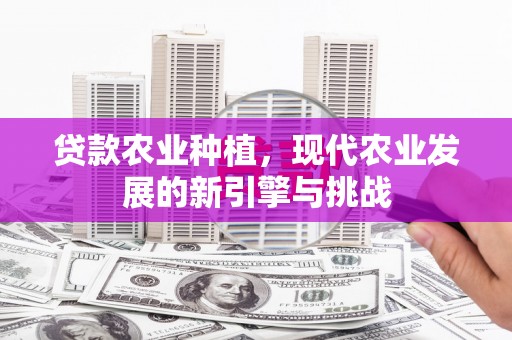 嘉黎贷款农业种植，现代农业发展的新引擎与挑战